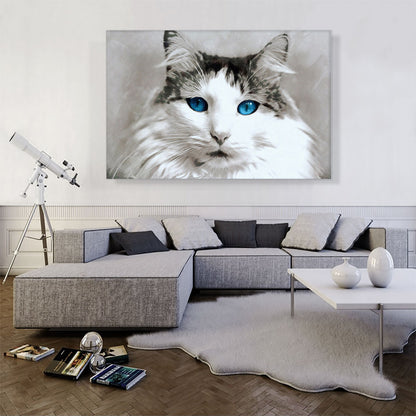 Ragdoll Cat Breed Blue Eyes