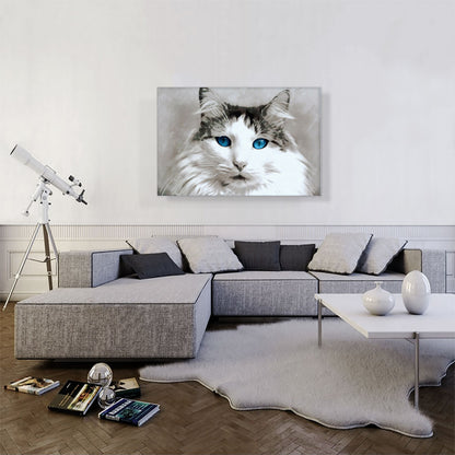 Ragdoll Cat Breed Blue Eyes