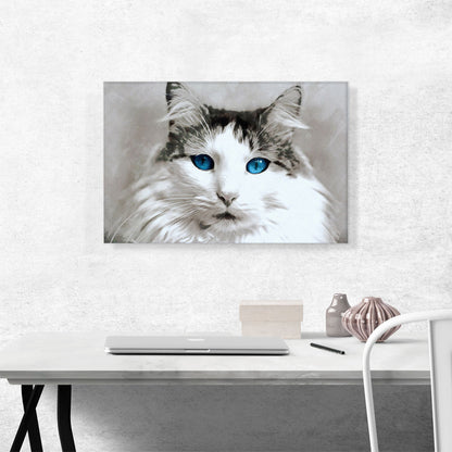 Ragdoll Cat Breed Blue Eyes