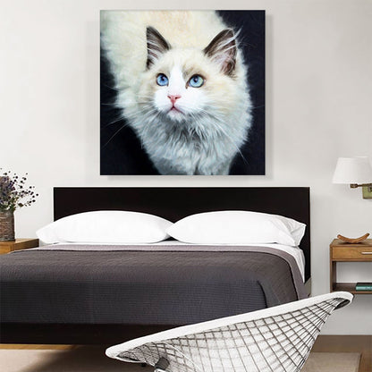 Ragdoll Cat Breed Dark