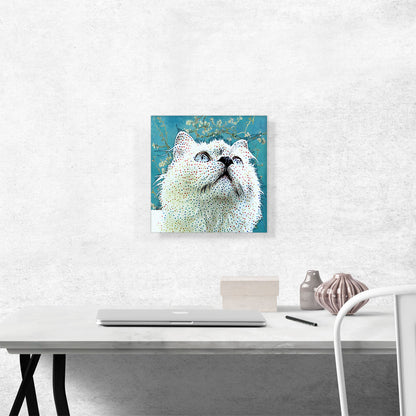 Ragdoll Cat Breed Dots