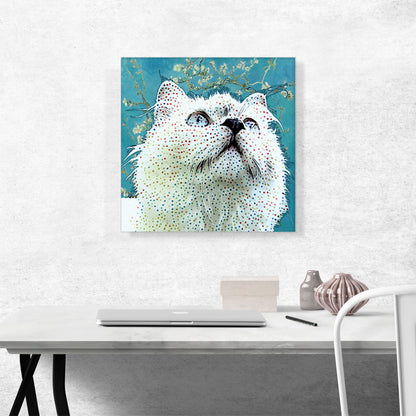 Ragdoll Cat Breed Dots