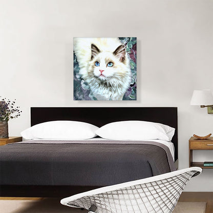 Ragdoll Cat Breed Glamour