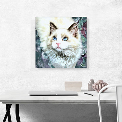 Ragdoll Cat Breed Glamour