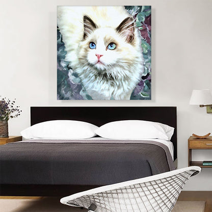 Ragdoll Cat Breed Glamour