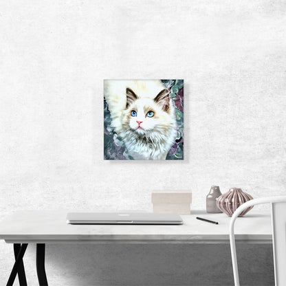 Ragdoll Cat Breed Glamour