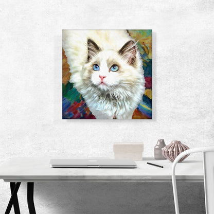 Ragdoll Cat Breed