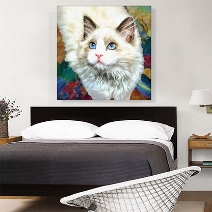 Ragdoll Cat Breed