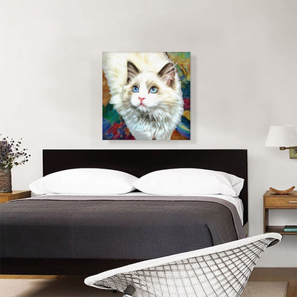 Ragdoll Cat Breed