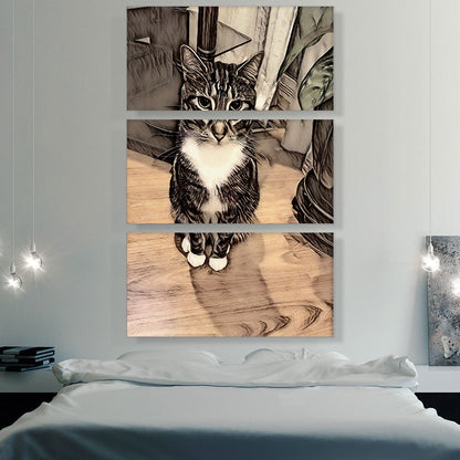 Aegean Cat Breed Sitting