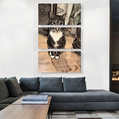Aegean Cat Breed Sitting