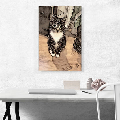 Aegean Cat Breed Sitting