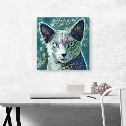 Russian Blue Cat Breed Aqua