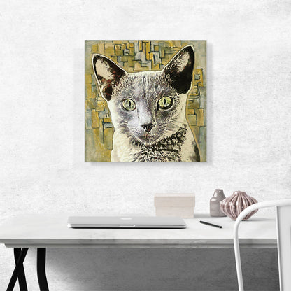 Russian Blue Cat Breed Yellow