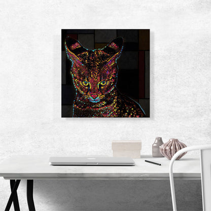 Savannah Cat Breed Color