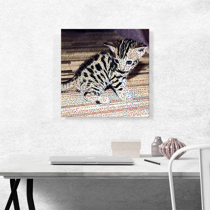Savannah Cat Breed Kitten