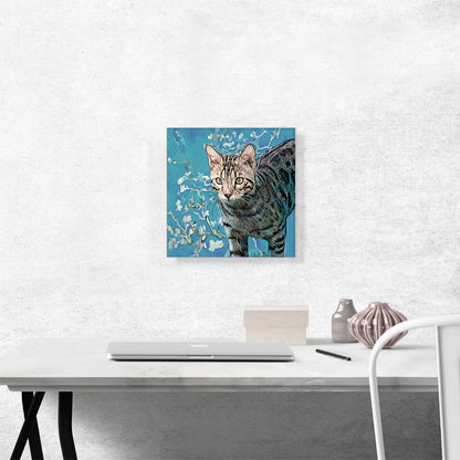 Savannah Cat Breed Teal