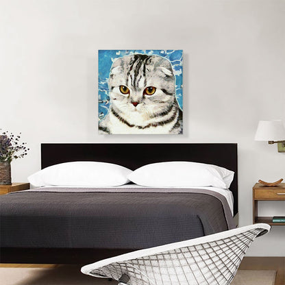 Scottish Fold Cat Breed Blue