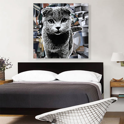 Scottish Fold Cat Breed Modern