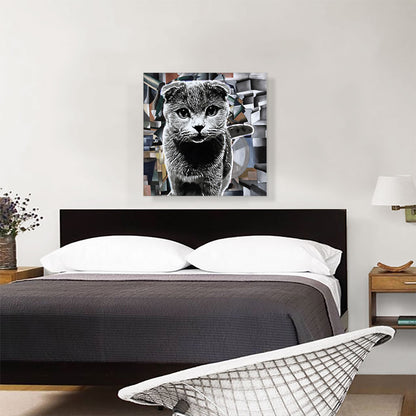 Scottish Fold Cat Breed Modern