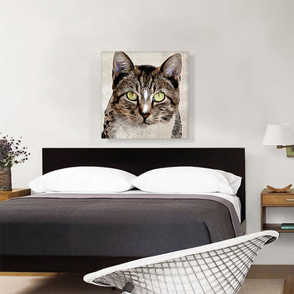 Aegean Cat Breed