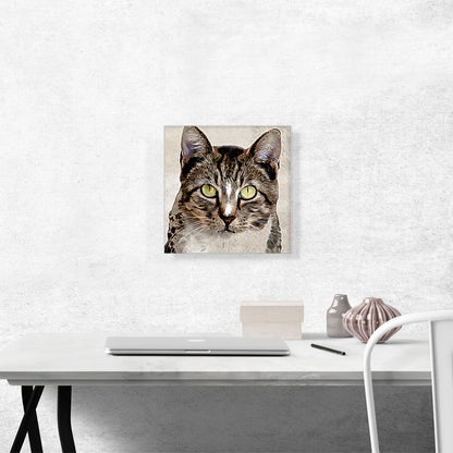 Aegean Cat Breed