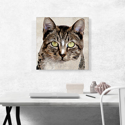 Aegean Cat Breed