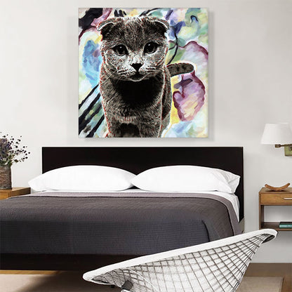 Scottish Fold Cat Breed