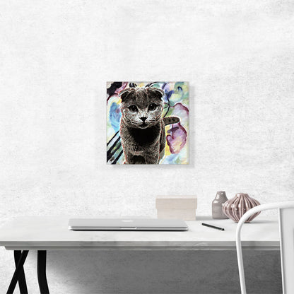 Scottish Fold Cat Breed