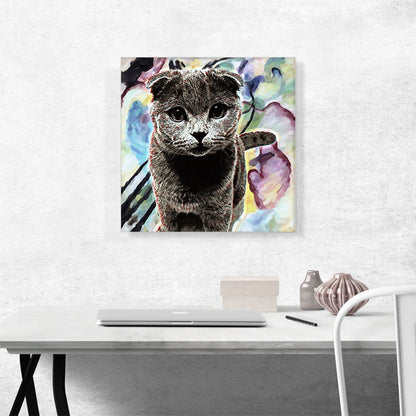 Scottish Fold Cat Breed