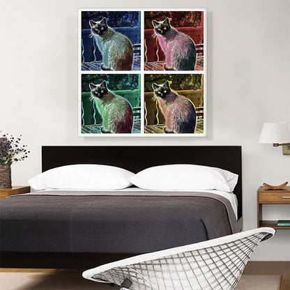 Siamese Cat Breed Collage