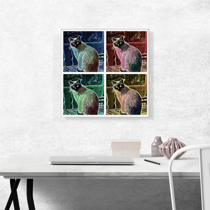 Siamese Cat Breed Collage