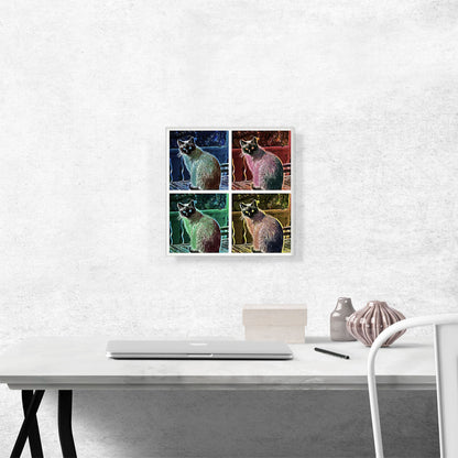 Siamese Cat Breed Collage