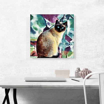 Siamese Cat Breed Colors