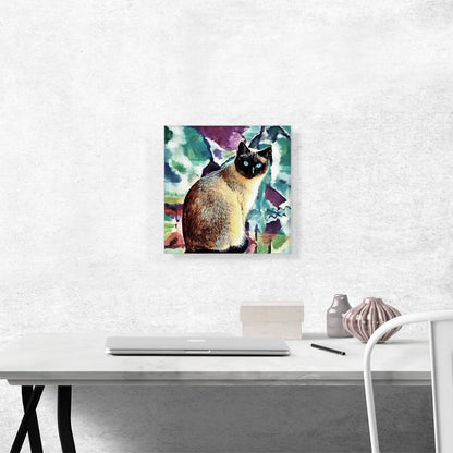Siamese Cat Breed Colors