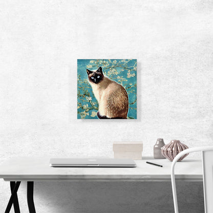 Siamese Cat Breed Teal