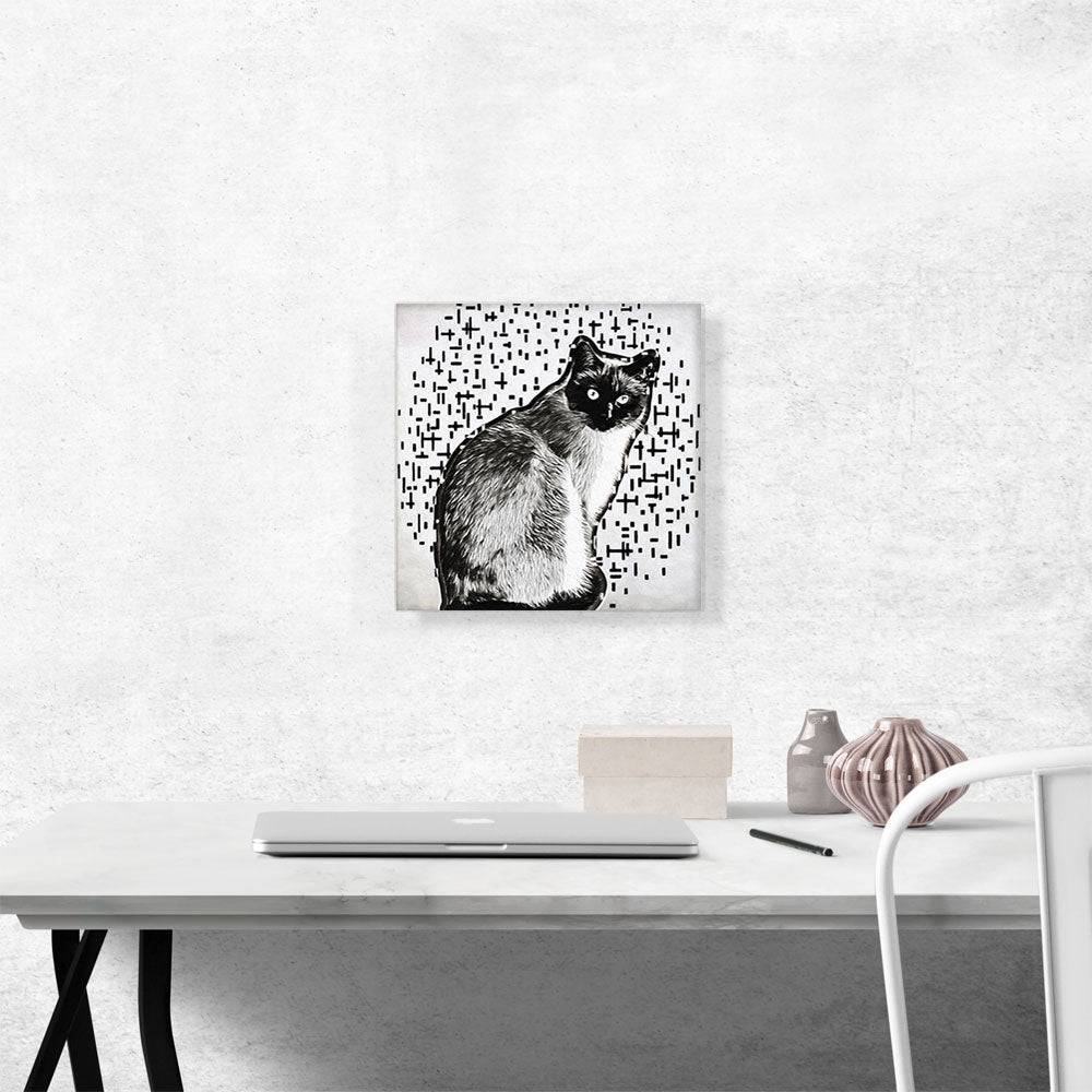 Siamese Cat Breed