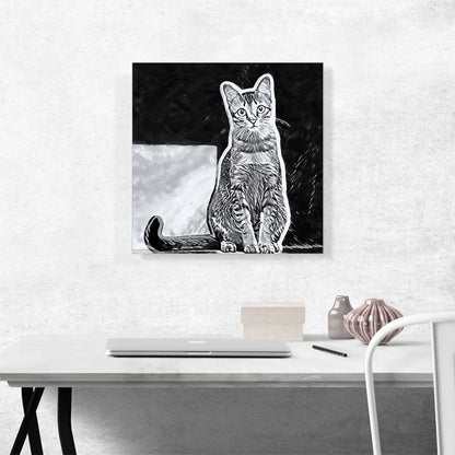 Singapura Cat Breed Black and White