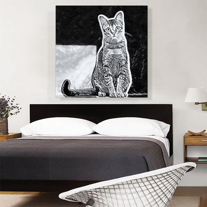 Singapura Cat Breed Black and White