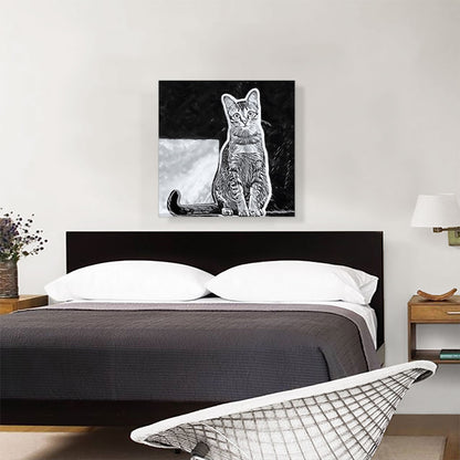 Singapura Cat Breed Black and White