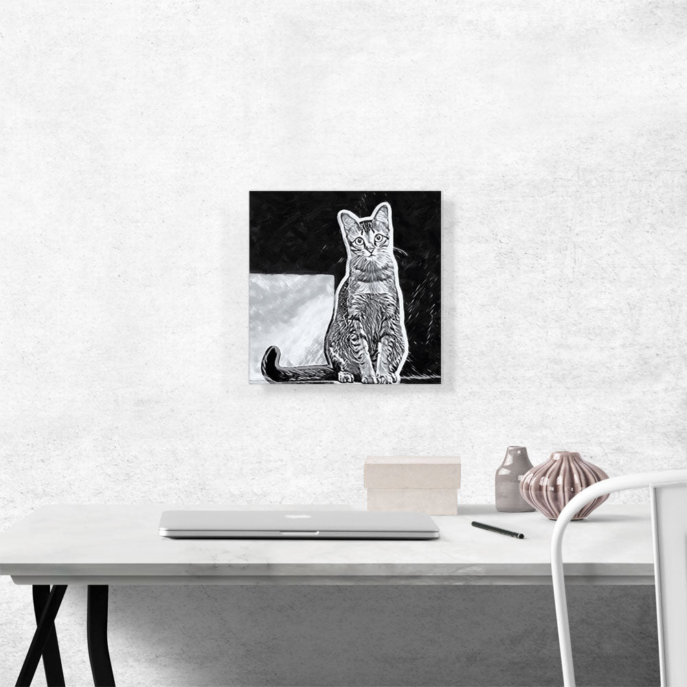Singapura Cat Breed Black and White