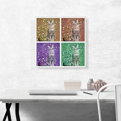 Singapura Cat Breed Collage