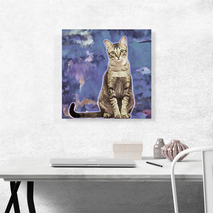 Singapura Cat Breed Violet