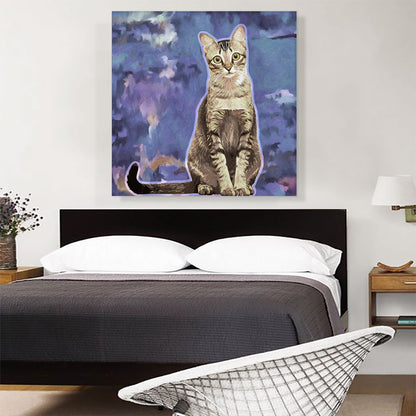 Singapura Cat Breed Violet