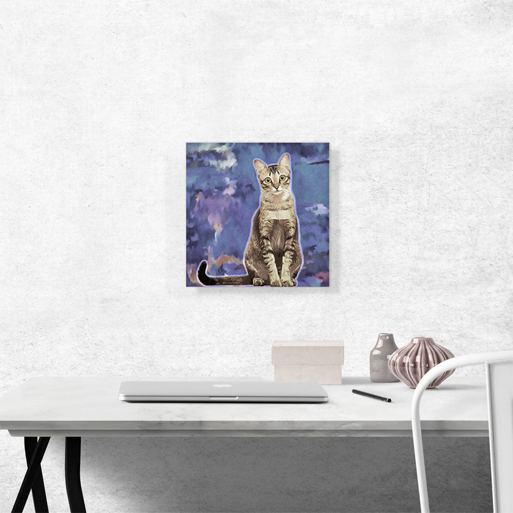 Singapura Cat Breed Violet