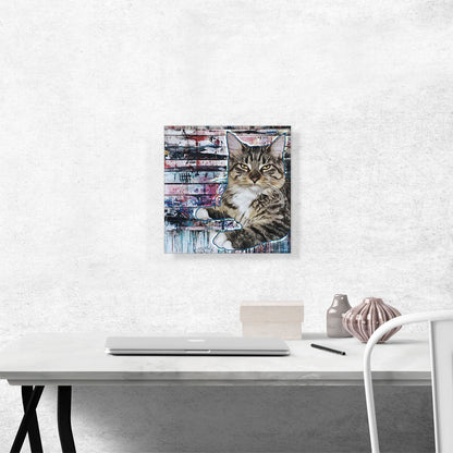 American Bobtail Cat Breed Graffiti