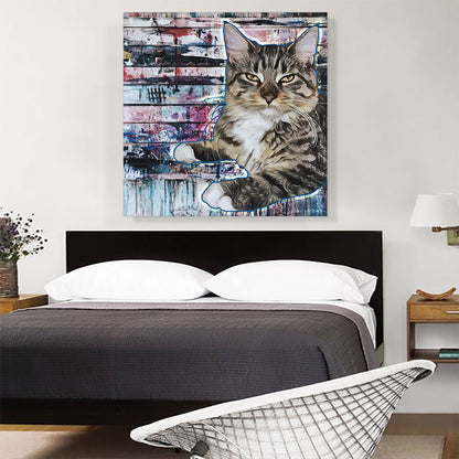 American Bobtail Cat Breed Graffiti