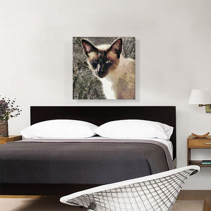 Snowshoe Cat Breed Brown