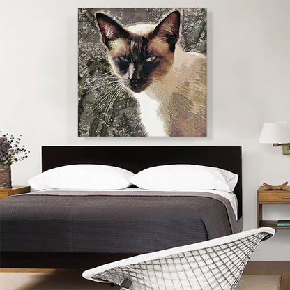 Snowshoe Cat Breed Brown