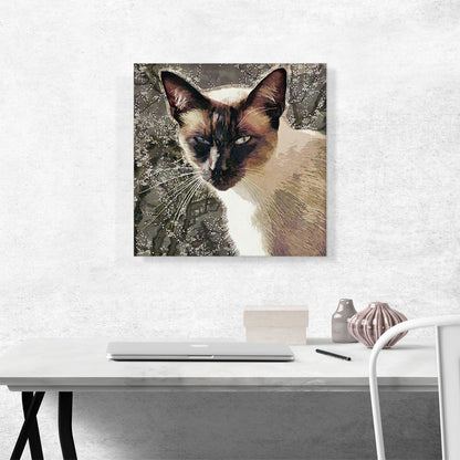 Snowshoe Cat Breed Brown